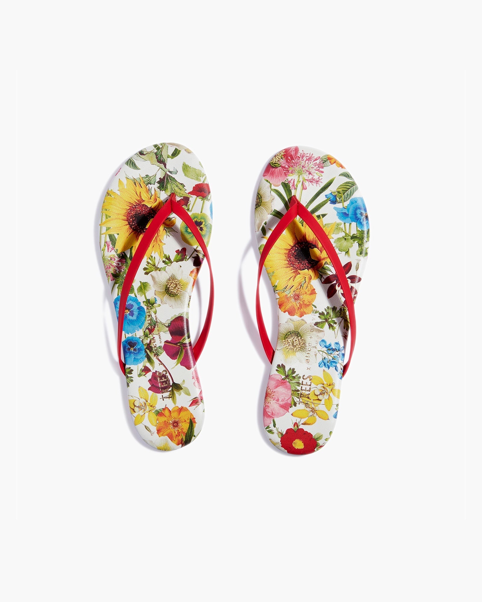 Women's TKEES TKEES x Alice + Olivia Lily Flip Flops Multicolor | GYFJT4628